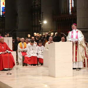 85. Geburtstag, Linzer Mariendom (26.1.2017)