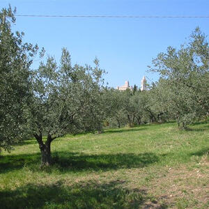 Assisi - Umbrien