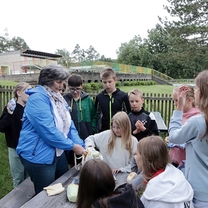 nach Drosendorf
