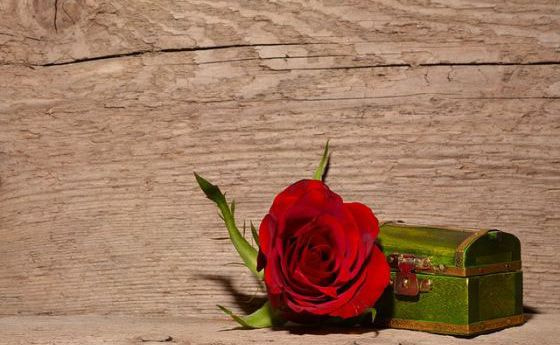Schatz der Liebe