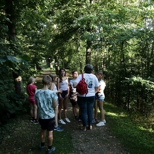 nach Drosendorf