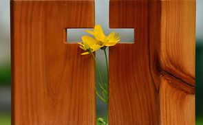 Aus dem Kreuz erwächst das Leben