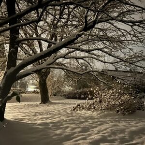 Winter-Impression