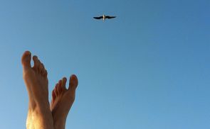 Predigt zum 14. Sonntag im Jahreskreis