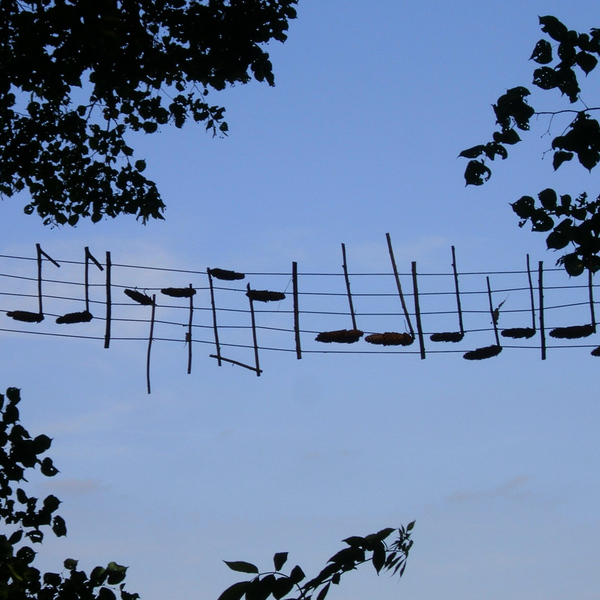 Leitbild / © deidi/pixabay.com/CC0 1.0 Noten am Himmel