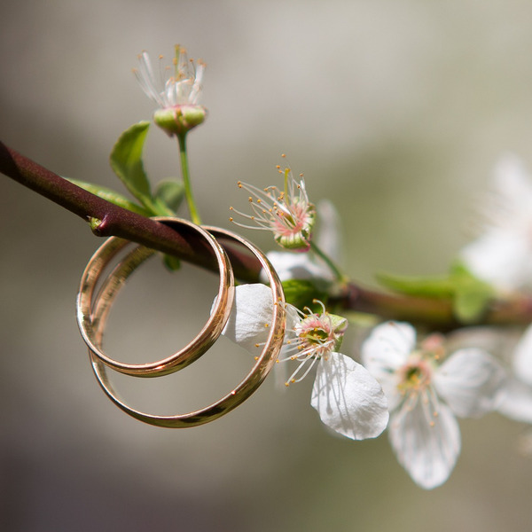 © Bairyna/pixabay.com/Pixabay License Hochzeit und Ehe